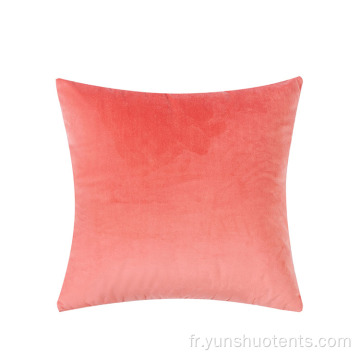 Coussin de canapé d&#39;intérieur en velours d&#39;oreiller de photographie